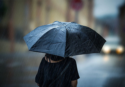 การระบาดเล็กน้อยในอุตสาหกรรมร่ม: การลงทะเบียนในปีที่แล้วเพิ่มขึ้น 139%